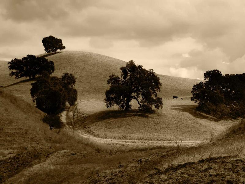 sudoku row column box screenshot 6